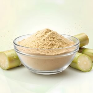 Sugarcane Juice Powder